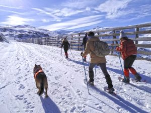 ruta-raquetas-de-nieve-sierra-nevada-borreguiles-hoya-de-la-mora-granada-cabraloca-4-300x225